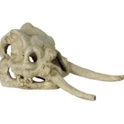 REPTILE PLANET Décor pour vivarium en résine coloris blanc crâne de dinosaure Dinosaurus Skull - 22 x 11 x 12,5 cm
