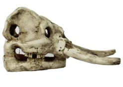 REPTILE PLANET Décor pour vivarium en résine coloris blanc crâne de dinosaure Dinosaurus Skull - 22 x 11 x 12,5 cm