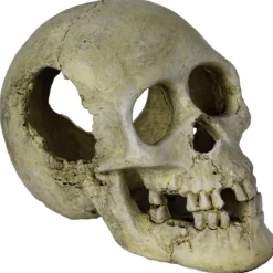 REPTILE PLANET Décor pour vivarium en résine coloris blanc crâne humain Sleeping Hollow Skull - 16 x 10 x 12 cm