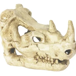 REPTILE PLANET Décor pour vivarium en résine coloris beige Rhinocéros Skull - 16 x 10 x 12 cm
