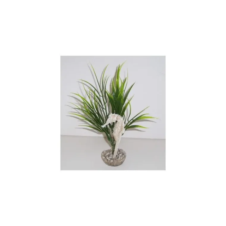 LABEO Décor vert avec hippocampe 5 x 20 cm