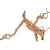 ZOLUX Décoration naturelle pour aquarium et terrarium coloris marron racine araignée – 50 à 60 cm