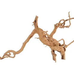 ZOLUX Décoration naturelle pour aquarium et terrarium coloris marron racine araignée – 50 à 60 cm