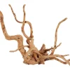 ZOLUX Décoration naturelle pour aquarium et terrarium coloris marron racine araignée – 30 à 40 cm