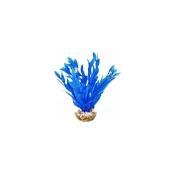 LABEO Dracaena bleu en plastique 13 cm
