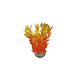 LABEO Dracaena orange en plastique 13 cm