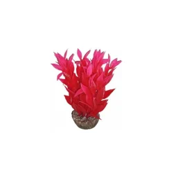 LABEO Dracaena rose en plastique 13 cm