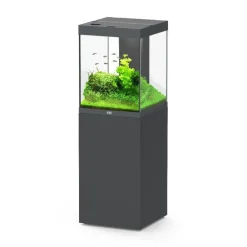 AQUATLANTIS Ensemble aquarium équipé et meuble Tower coloris gris anthracite - 163 L