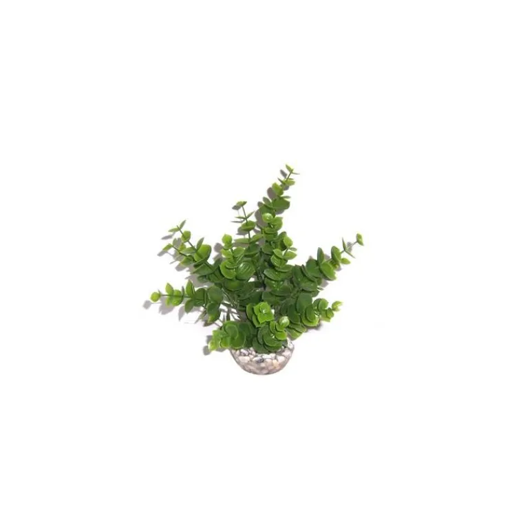 LABEO Eucalyptus vert en plastique moyen modèle 19 cm