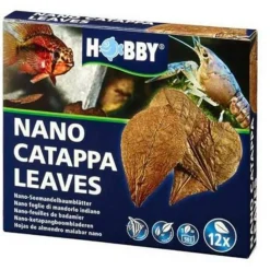 BLUE CORAL Feuilles de badamier nano catappa, pack de 12, HOBBY