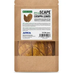BLUE CORAL Feuilles de Badamier naturelles taille M, ARKA mySCAPE-Catappa - 10 pièces de 16.5/20 cm