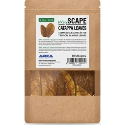 BLUE CORAL Feuilles de badamier taille S, ARKA myScape-Catappa - 10 pièces de 12,5/16 cm