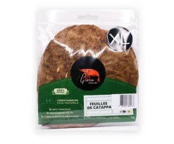 GIOIASHRIMP Feuilles de catappa pour crevettes - x 10 Taille XL
