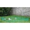 LIFLAND Filet-enclos pour poules grand modèle H 125 cm x 21 m