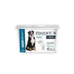 HAMIFORM Friandises pour chien éducation maxi - 475 g