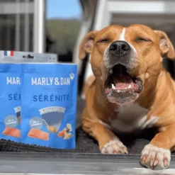 MARLY & DAN Friandises pour chien tendres bouchées sérénité - 50 g