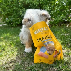 MARLY & DAN Friandises pour chien tendres bouchées éducation - 100 g