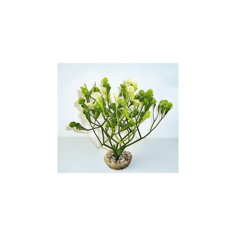 LABEO Fucus vert en plastique 15 cm