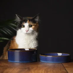 SCRUFFS Gamelle pour chat en grès coloris bleu nuit Reactive Glaze - 13 x 13 x 3 cm