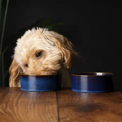 SCRUFFS Gamelle pour chien en grès coloris bleu nuit Reactive Glaze - 13 x 13 x 5 cm