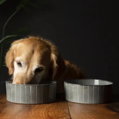 SCRUFFS Gamelle pour chien en grès coloris gris avec rayures Reactive Glaze - 19 x 19 x 8 cm