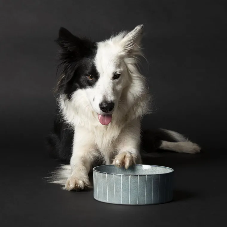 SCRUFFS Gamelle pour chien en grès coloris gris avec rayures Reactive Glaze - 19 x 19 x 8 cm