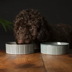 SCRUFFS Gamelle pour chien en grès coloris gris avec rayures Reactive Glaze - 19 x 19 x 8 cm