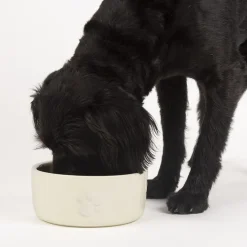 SCRUFFS Gamelle repas pour chien coloris beige clair en grès – 19 x 19 x 8,5 cm