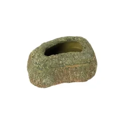 REPTILE PLANET Gamelle vers de farine pour vivarium coloris vert - 11,5 x 8,5 x 4 cm
