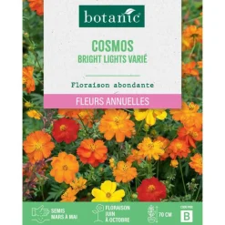 BOTANIC® Graines de cosmos sulphureus flashe orange - graines à semer