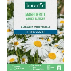 BOTANIC® Graines de grande marguerite blanche - graines à semer