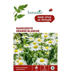 BOTANIC® Graines de grande marguerite blanche - graines à semer