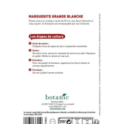 BOTANIC® Graines de grande marguerite blanche - graines à semer