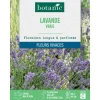 BOTANIC® Graines de lavande variée - graines à semer