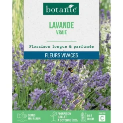 BOTANIC® Graines de lavande variée - graines à semer