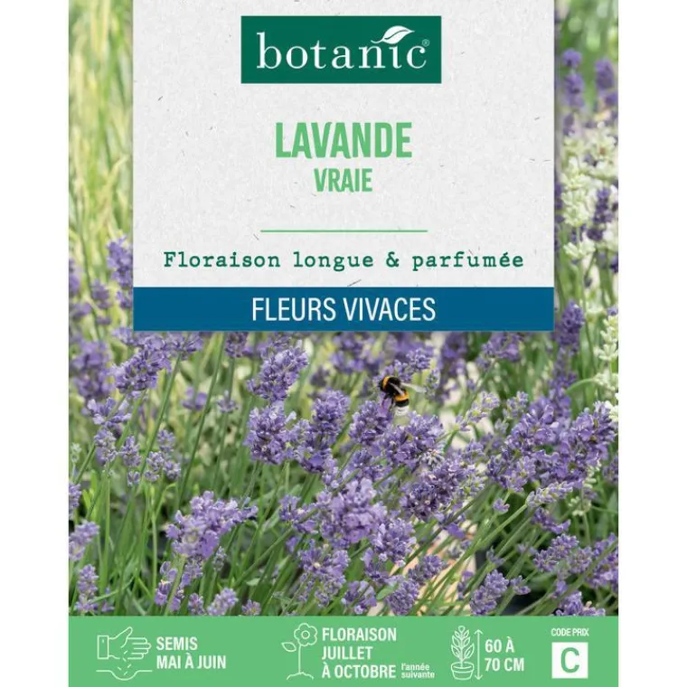 BOTANIC® Graines de lavande variée - graines à semer