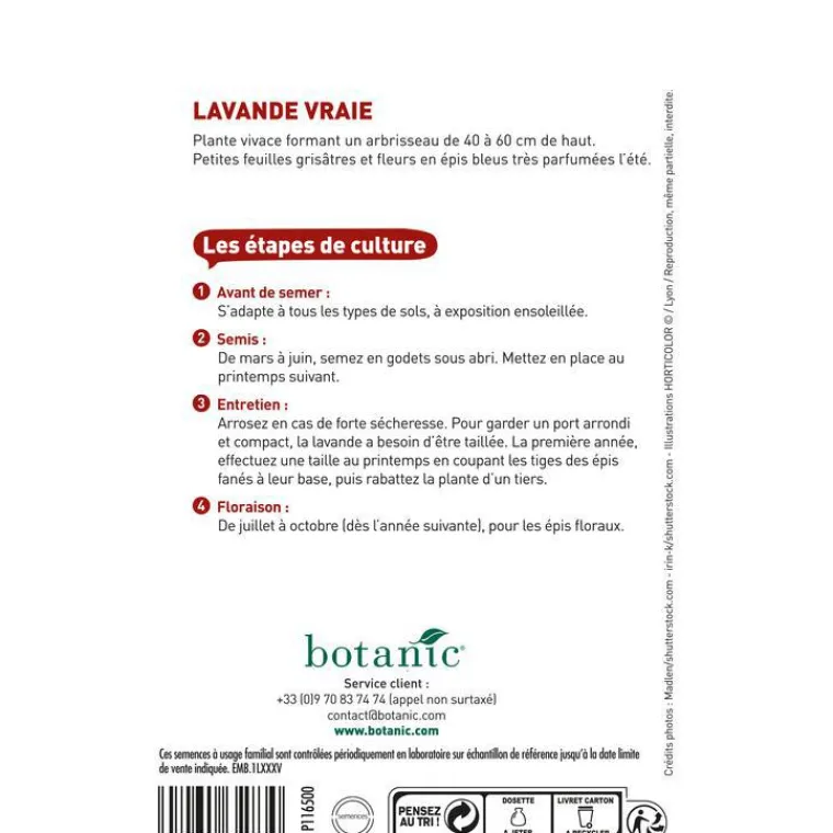 BOTANIC® Graines de lavande variée - graines à semer