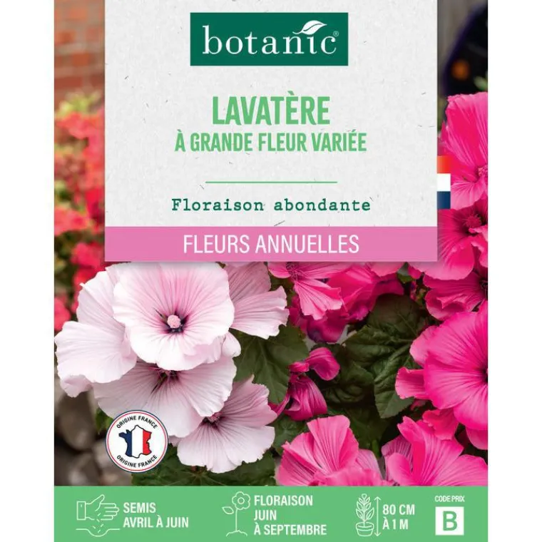 BOTANIC® Graines de lavatère à grande fleur variée - graines à semer