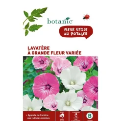 BOTANIC® Graines de lavatère à grande fleur variée - graines à semer