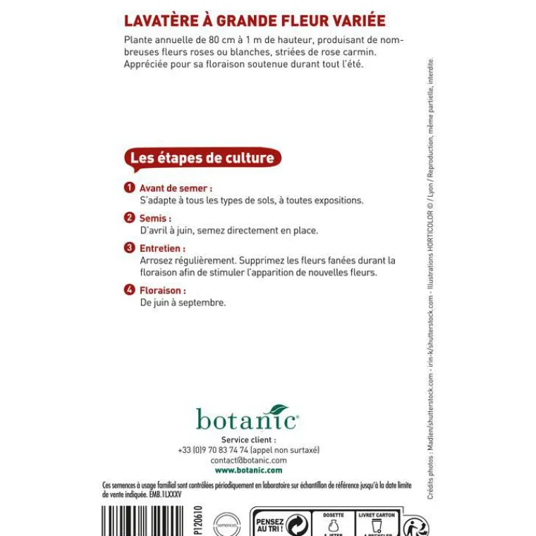 BOTANIC® Graines de lavatère à grande fleur variée - graines à semer