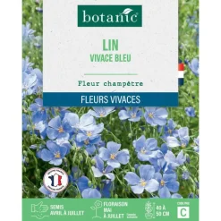 BOTANIC® Graines de lin vivace bleu - graines à semer