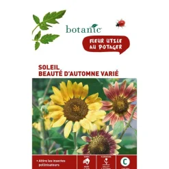 BOTANIC® Graines de soleil beauté d'automne varié - graines à semer