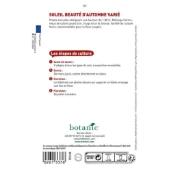 BOTANIC® Graines de soleil beauté d'automne varié - graines à semer