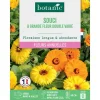 BOTANIC® Graines de souci à grande fleur double varié - graines à semer