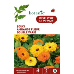 BOTANIC® Graines de souci à grande fleur double varié - graines à semer