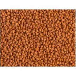 TETRA Granulés énergétiques pour reptiles, ReptoMin Energy - contenance 100ml - 34g
