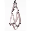 MARTIN SELLIER Harnais baudrier réglable gris pour chien - 1,6x35/50 cm