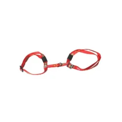 MARTIN SELLIER Harnais chat 35/50cm motif 10mm