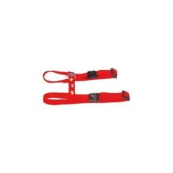 MARTIN SELLIER Harnais chat 25/35cm motif 10mm