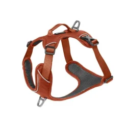 KYFLIE Harnais Momentum Taille 2 Circonférence cage thoracique 42-55cm Cuivre